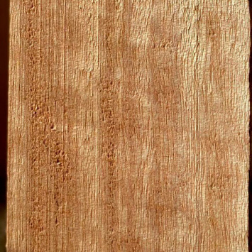 acajou_000