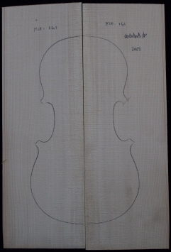 tavola abete violino 1a